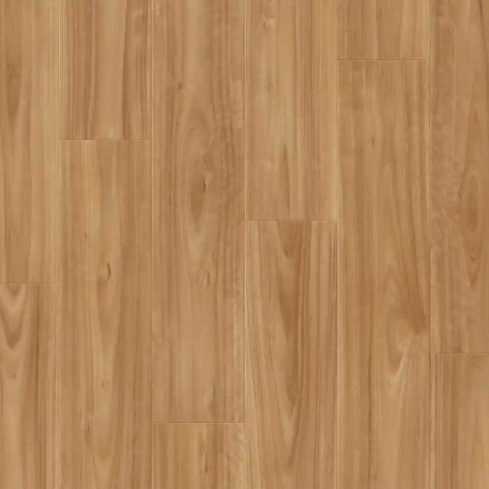 Blackbutt — IM3805 · Distiplas Floors