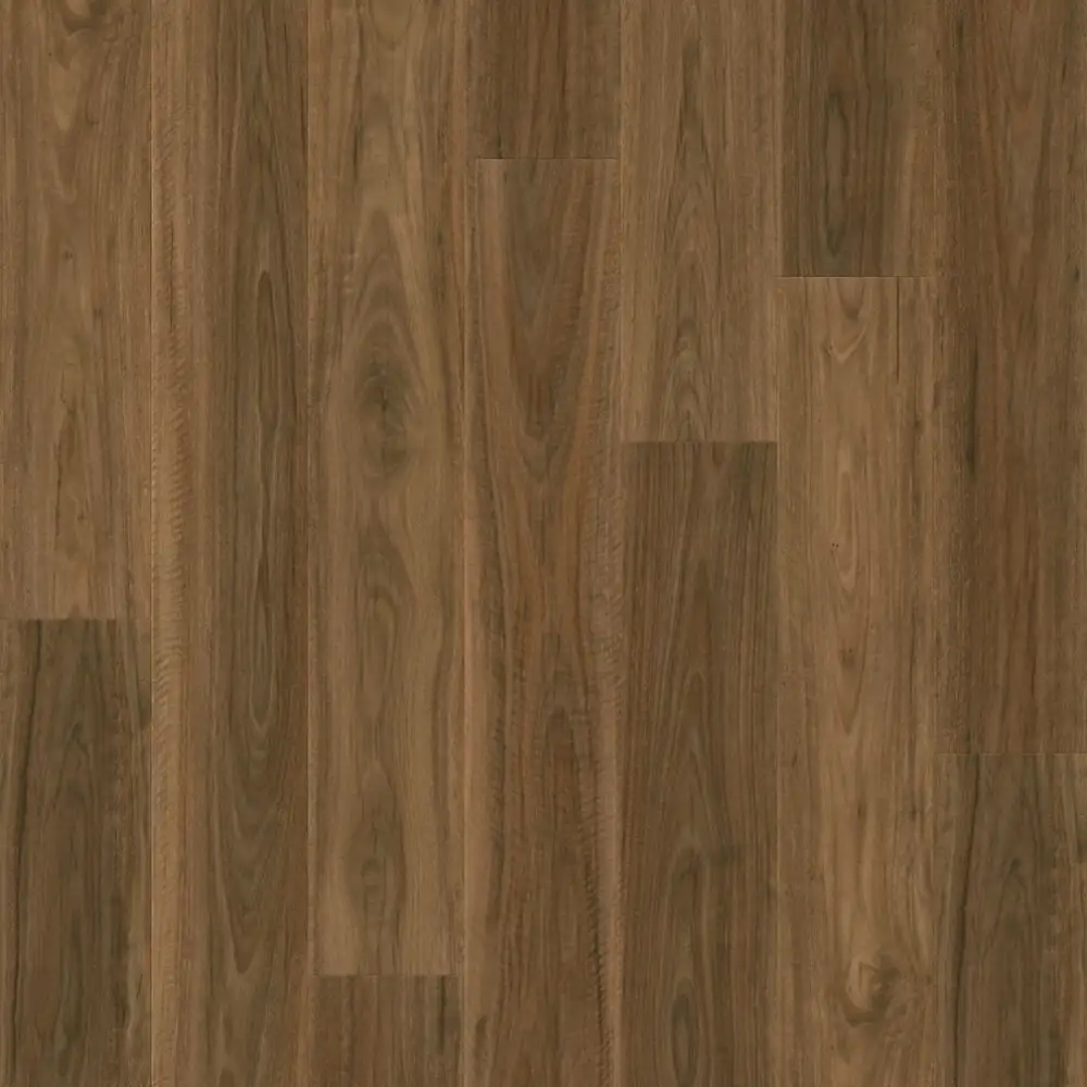 Spotted Gum — MJ4254 · Distiplas Floors