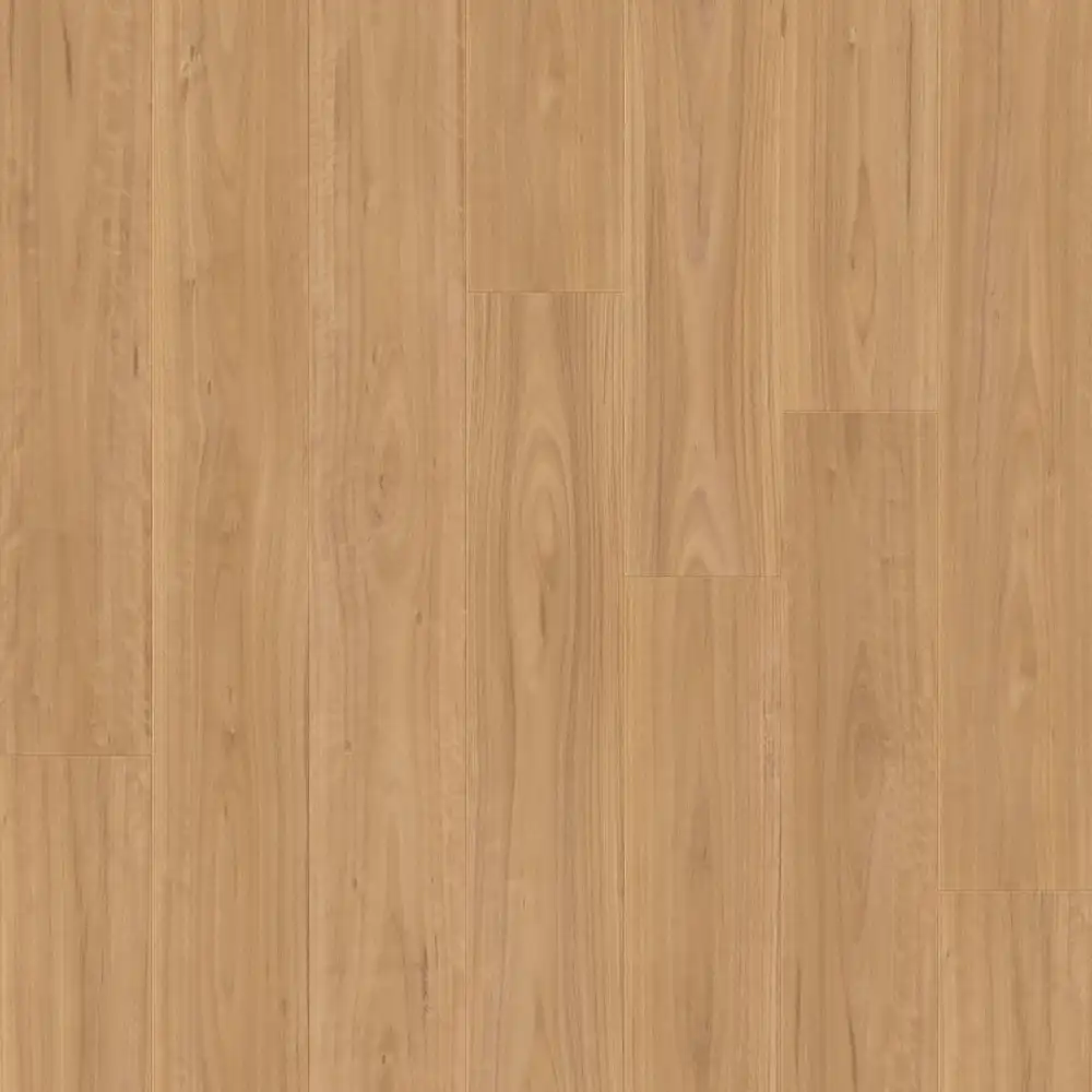 Blackbutt — MJ4253 · Distiplas Floors